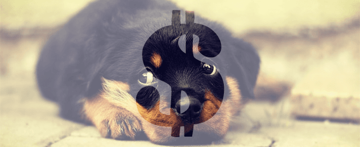 Responsible Pet Ownership Chapter IX – The Background of Illegal Puppy Trade