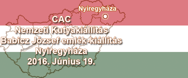 CAC Nemzeti Kutyakiállítás – Babicz József emlék-kiállítás – Nyíregyháza – 2016. Június 19.