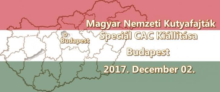 Magyar Nemzeti Kutyafajták Speciál CAC Kiállítása – Budapest – 2017. December 02.