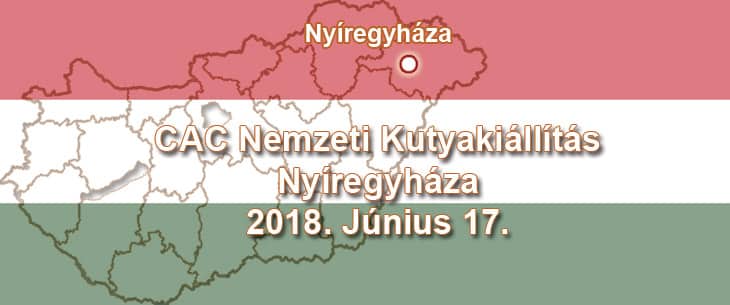 CAC Nemzeti Kutyakiállítás – Nyíregyháza – 2018. Június 17.