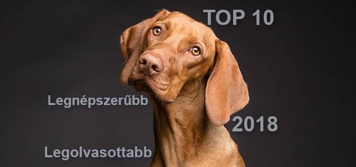 Kutya Portál 2018 TOP 10 – a legnépszerűbb és legolvasottabb cikkek