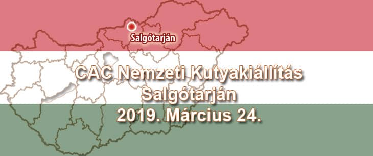 CAC Nemzeti Kutyakiállítás – Salgótarján – 2019. Március 24.