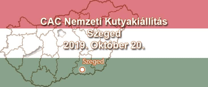 CAC Nemzeti Kutyakiállítás – Szeged – 2019. Október 20.