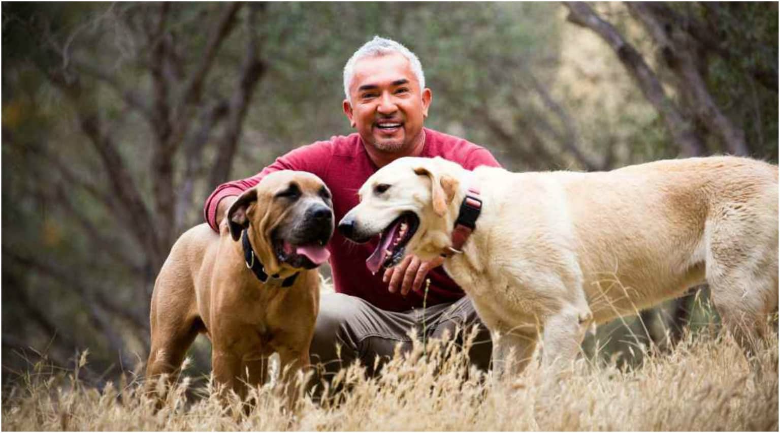 Cesar Millan családi show-val tér vissza Magyarországra novemberben