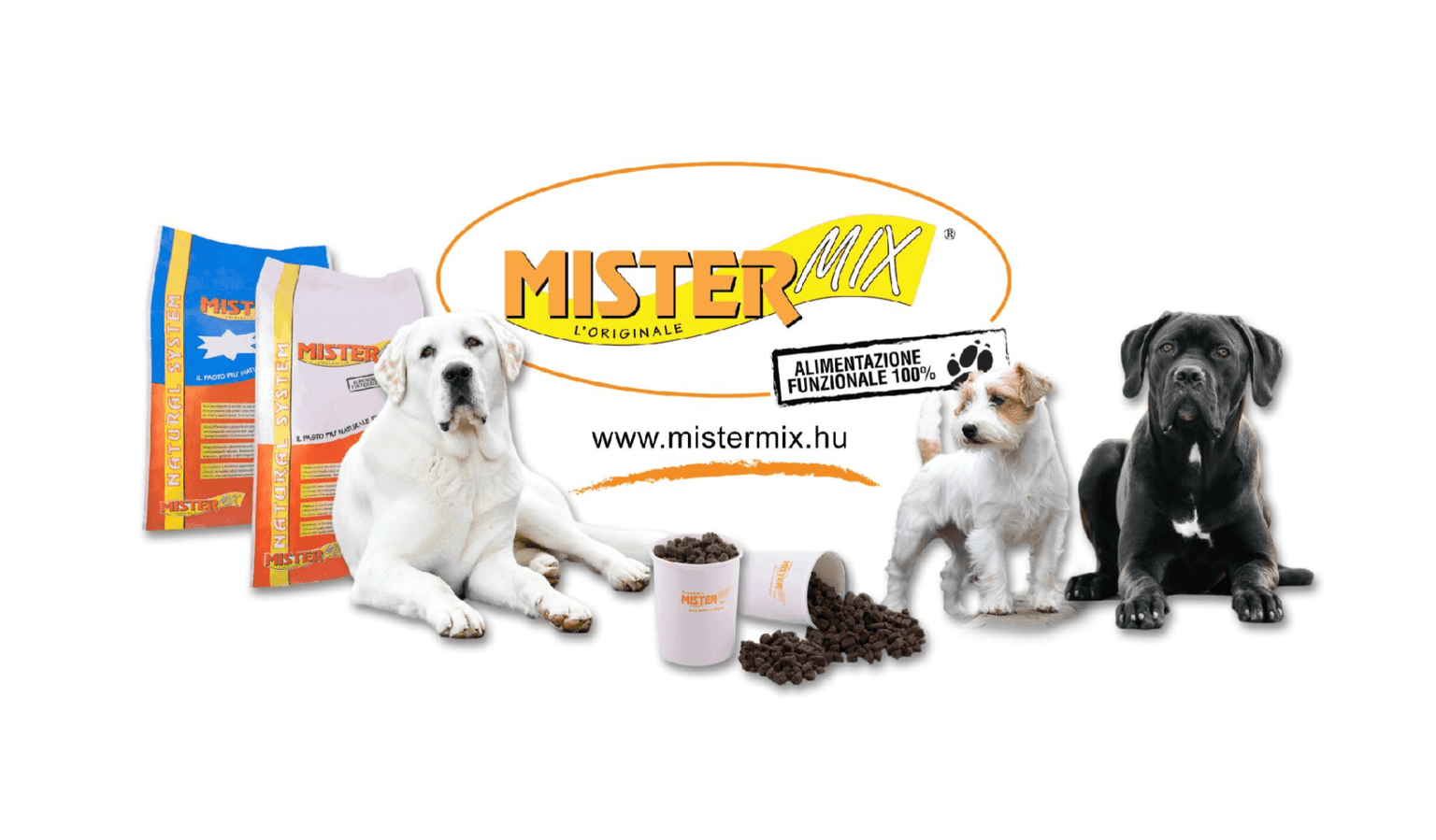A Mister Mix Dog, avagy a siker útja