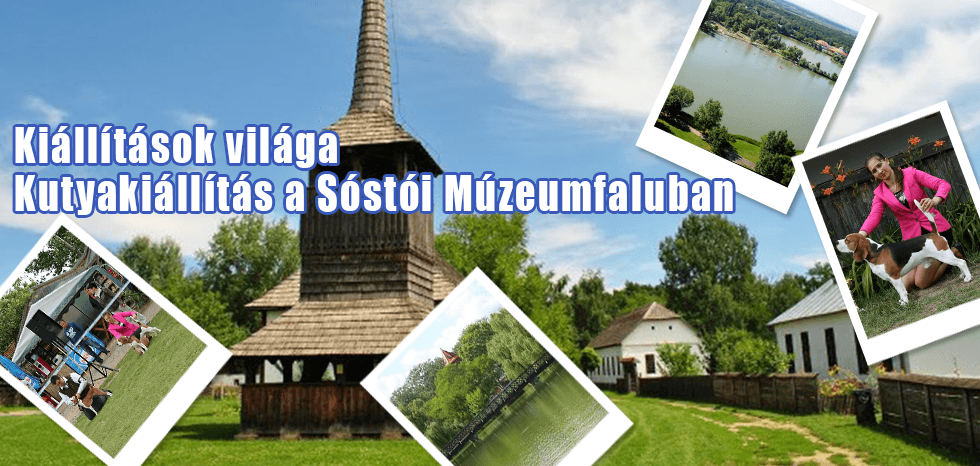 The World of Exhibitions – Dog Show at the Sóstó Museum Village