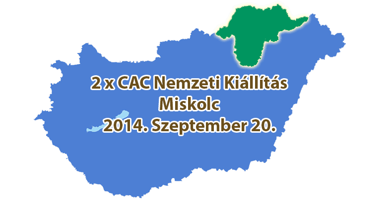2 x CAC Nemzeti Kiállítás – Miskolc – 2014. Szeptember 20.