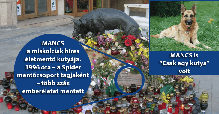 Azok számára, akik úgy vélik, ez „Csak egy kutya”