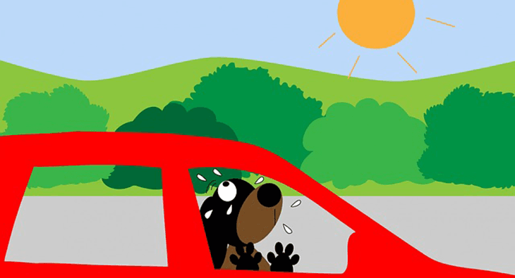 Soha ne hagyd nyáron a kutyád a zárt, parkoló autóban! Veszélyes!