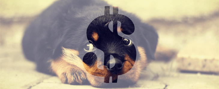 Felelős állattartás IX. fejezet – Az illegális kölyökkutya kereskedelem hátterei