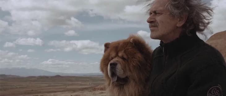 Lélekemelő kutyás történetek – Chrissie Hynde: You Or No One