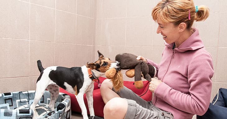 Kisállat fizikoterápia – interjú Lippai Kitti kisállat- fizioterapeutával