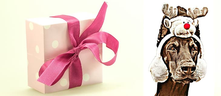 Karácsonyi Üdvözlet