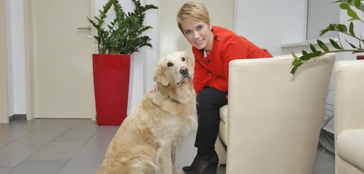 Mérföldkő az állatgyógyászatban: működik az első, kizárólag állatorvosi vizsgálatokat végző, nagy térerejű MR-berendezés