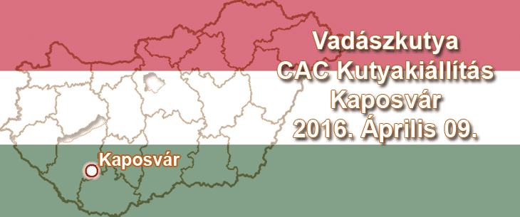 Vadászkutya CAC Kutyakiállítás – Kaposvár – 2016. Április 09.