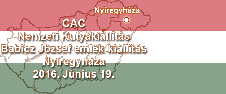 CAC Nemzeti Kutyakiállítás – Babicz József emlék-kiállítás – Nyíregyháza – 2016. Június 19.