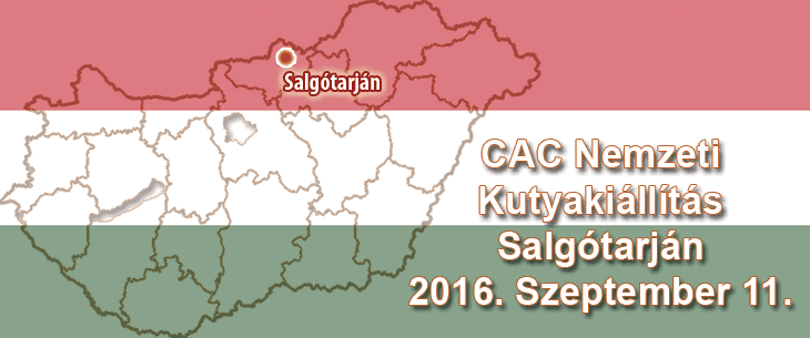CAC Nemzeti Kutyakiállítás – Salgótarján – 2016. Szeptember 11.