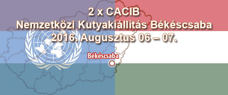 2 x CACIB Nemzetközi Kutyakiállítás – Békéscsaba – 2016. Augusztus 06 – 07.