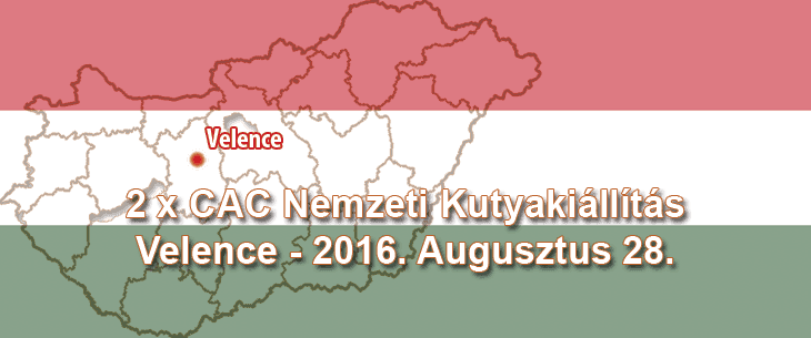 2 x CAC Nemzeti Kutyakiállítás – Velence – 2016. Augusztus 28.