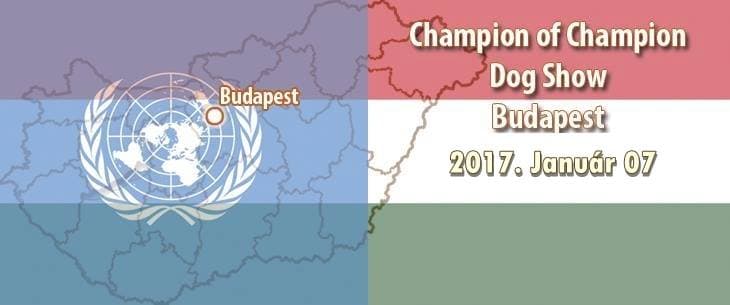 Champion of Champion Show – Budapest – 2017. Január 07.