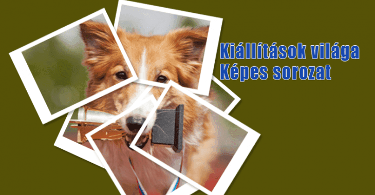 „Kiállítások Világa” – Portálunk új, képes sorozata.