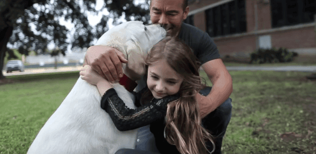 Ha beszélni tudnék…egy kutya élete gondolatokban