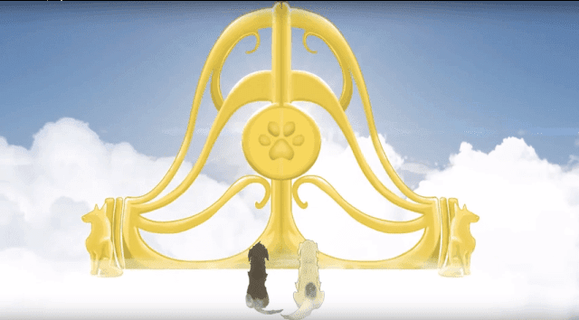 Búcsú… mert minden kutya a mennybe megy