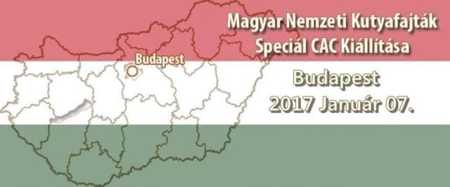 Magyar Nemzeti Kutyafajták Speciál CAC Kiállítása – Budapest – 2017. Január 07.