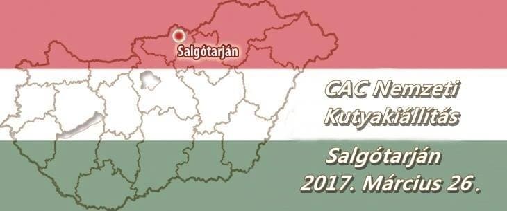 CAC Nemzeti Kutyakiállítás – Salgótarján – 2017. Március 26.