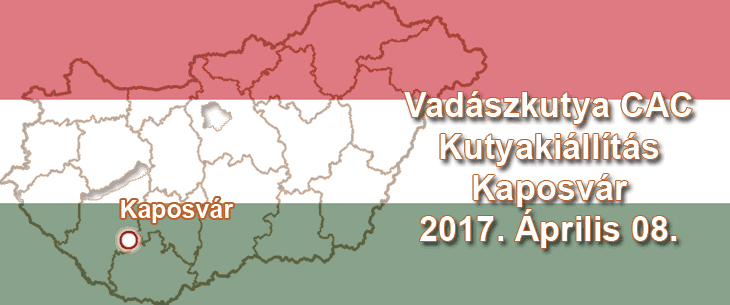 Vadászkutya CAC Kutyakiállítás – Kaposvár – 2017. Április 08.