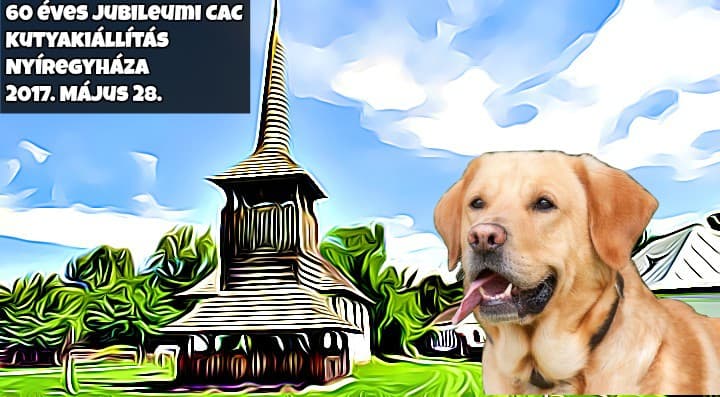60 éves Jubileumi CAC Kutyakiállítás – Nyíregyháza – 2017. Május 28.