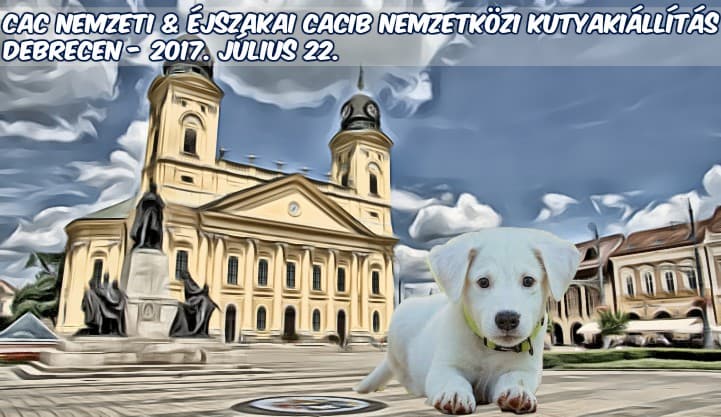 CAC Nemzeti & Éjszakai CACIB Nemzetközi Kutyakiállítás – Debrecen – 2017. Július 22.