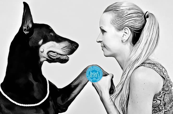 A Magyar Kennel Club Ivartalanítás Támogatási Programot hirdet törzskönyvezett szukák tulajdonosai számára