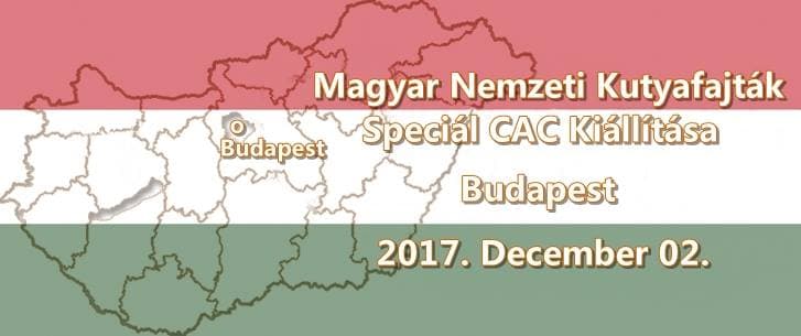 Magyar Nemzeti Kutyafajták Speciál CAC Kiállítása – Budapest – 2017. December 02.