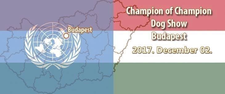 Champion of Champion Dog Show – Budapest – 2017. December 02.