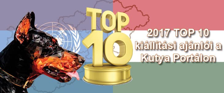 Kutya Portál 2017 TOP 10 kutyakiállítási ajánló