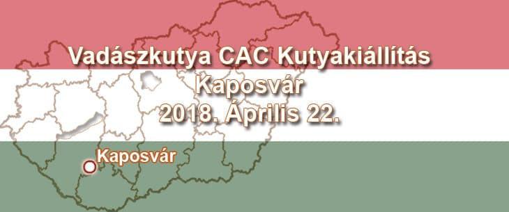 Vadászkutya CAC Kutyakiállítás – Kaposvár – 2018. Április 22.