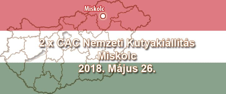 2 x CAC Nemzeti Kutyakiállítás – Miskolc – 2018. Május 26.