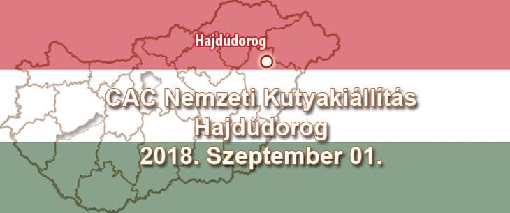 CAC Nemzeti Kutyakiállítás – Hajdúdorog – 2018. Szeptember 01.
