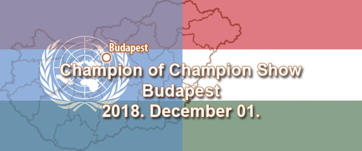 Champion of Champion Show – Budapest – 2018. December 01.
