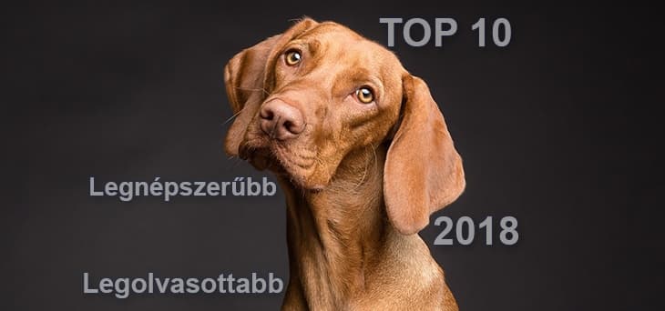 Dog Portal 2018 TOP 10 – The Most Popular and Most Read Articles