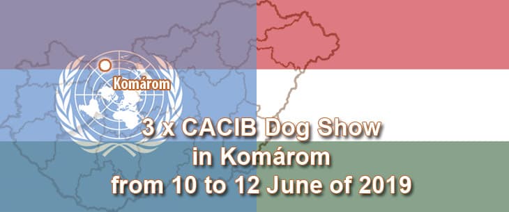 3 x CACIB Dog Show in Komárom from 10 to 12 June of 2019