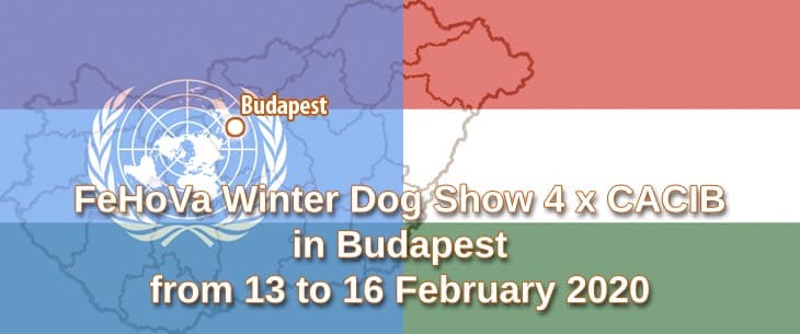 FeHoVa Winter Dog Show 4 x CACIB in Budapest from 13 to 16 February 2020