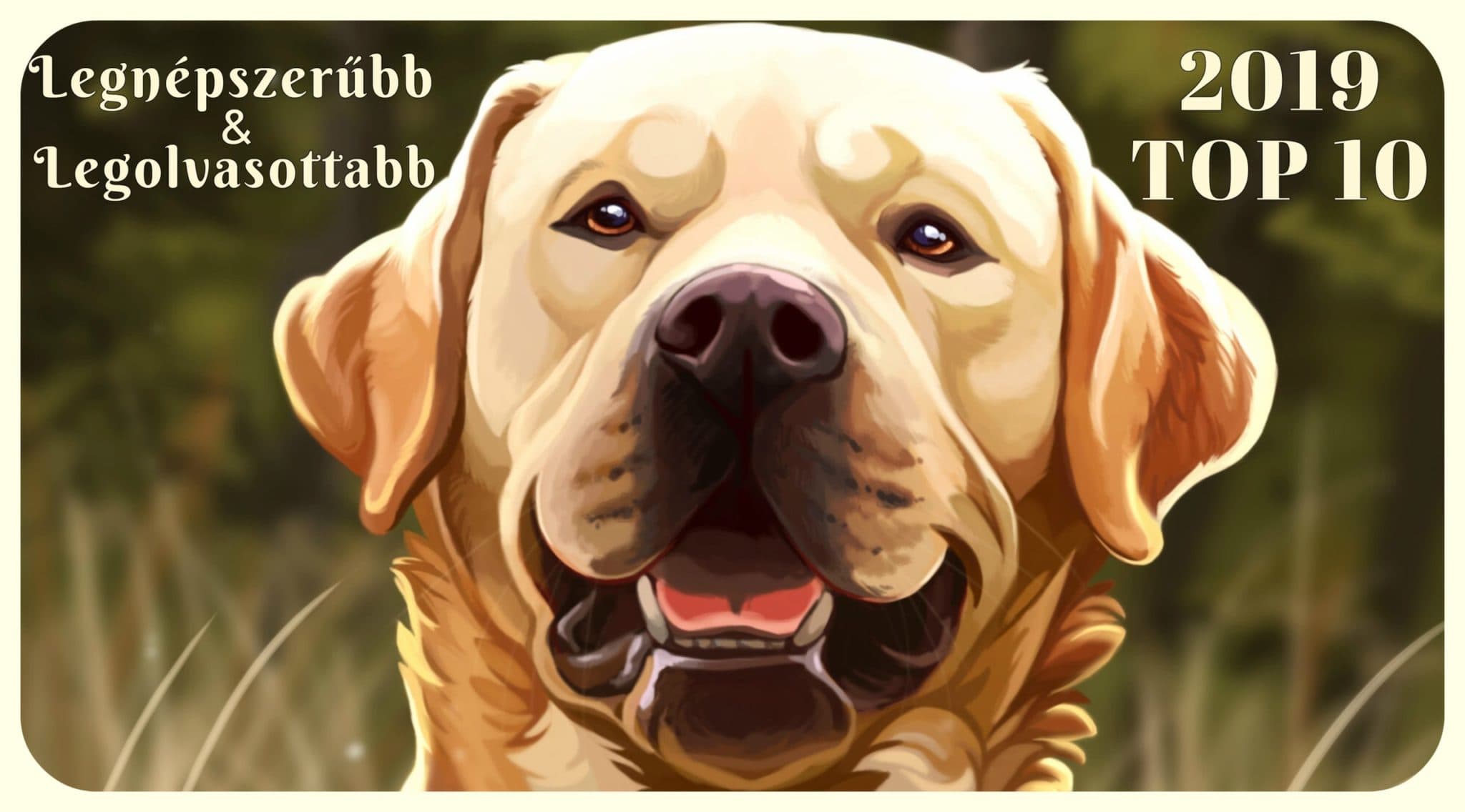 Dog Portal 2019 TOP 10 – the most popular and most read articles