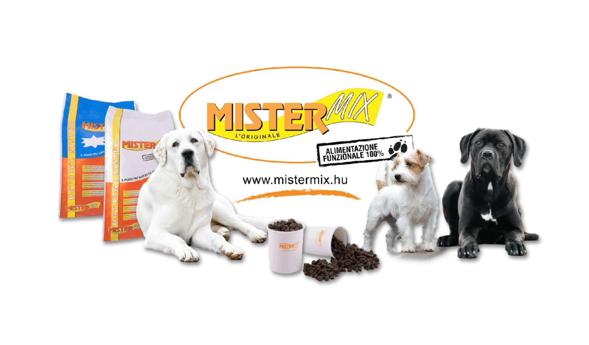 The Mister Mix Dog, or the Path to Success