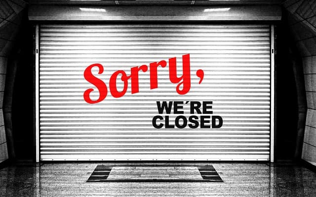 Spectators Cannot Attend the Westminster Dog Show Due to the Virus Situation