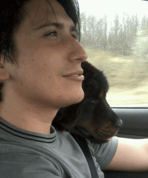 Kutya Portál, a nemzetközi információs tér