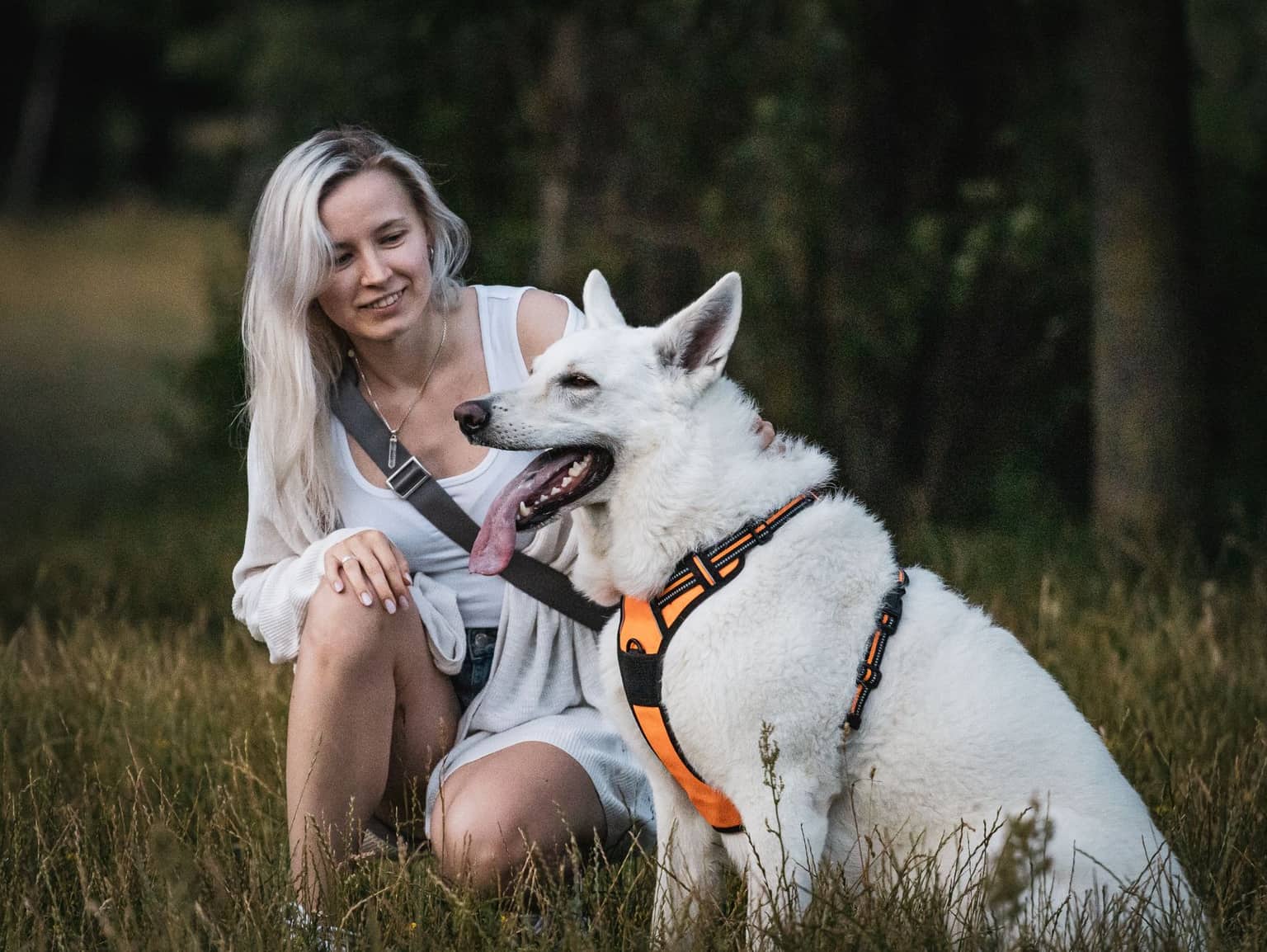 Kényelmesebb séták, biztosabb tartás – így választok megfelelő kutyahámot
