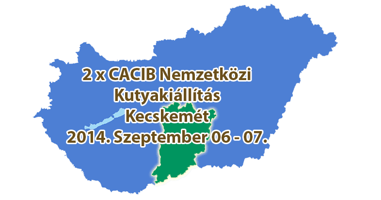 Kecskemét – 2 x CACIB Nemzetközi Kutyakiállítás – 2014. Szeptember 06 – 07.