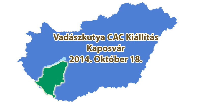 Vadászkutya CAC Kiállítás – Kaposvár – 2014. Október 18.